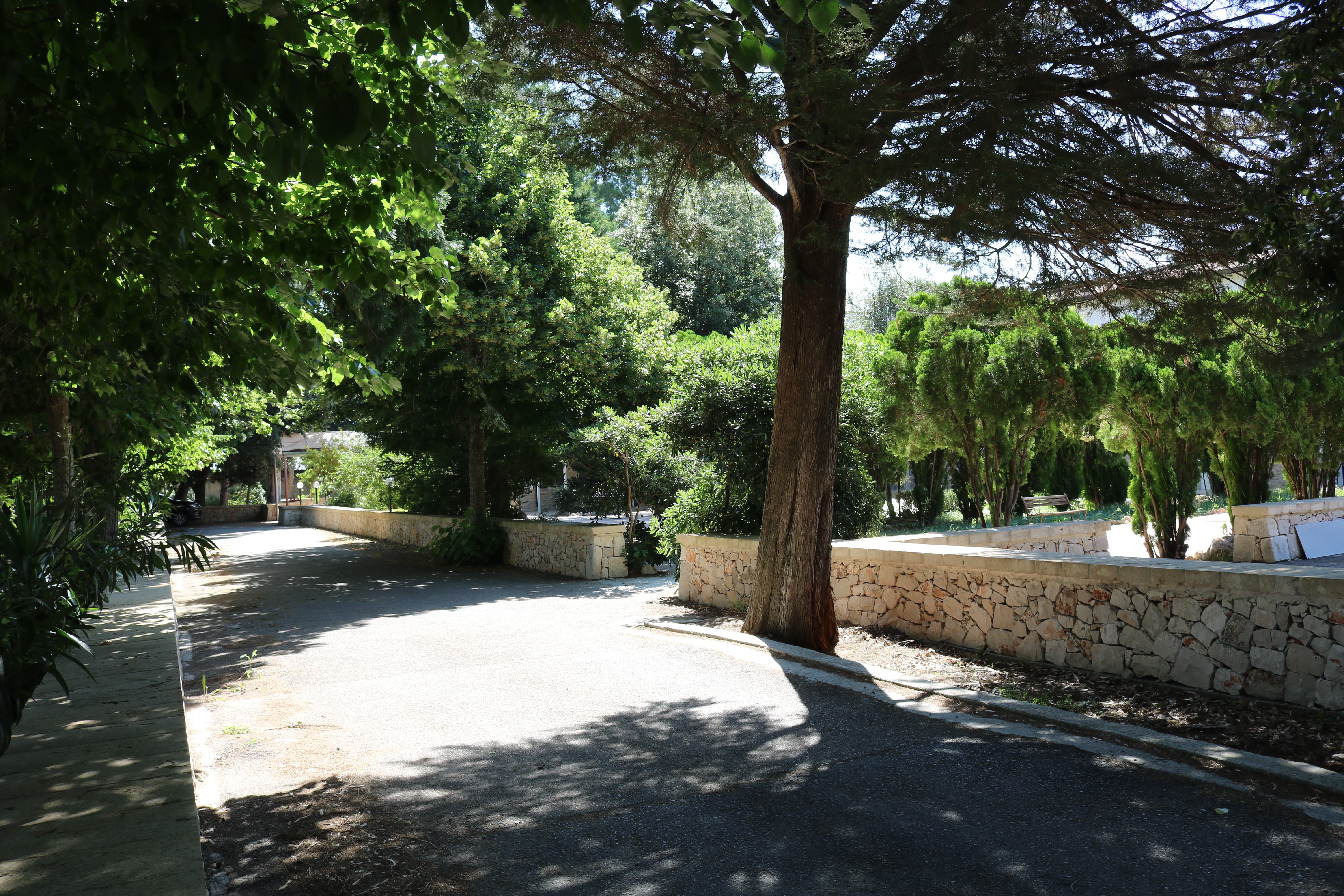 Foto del viale principale